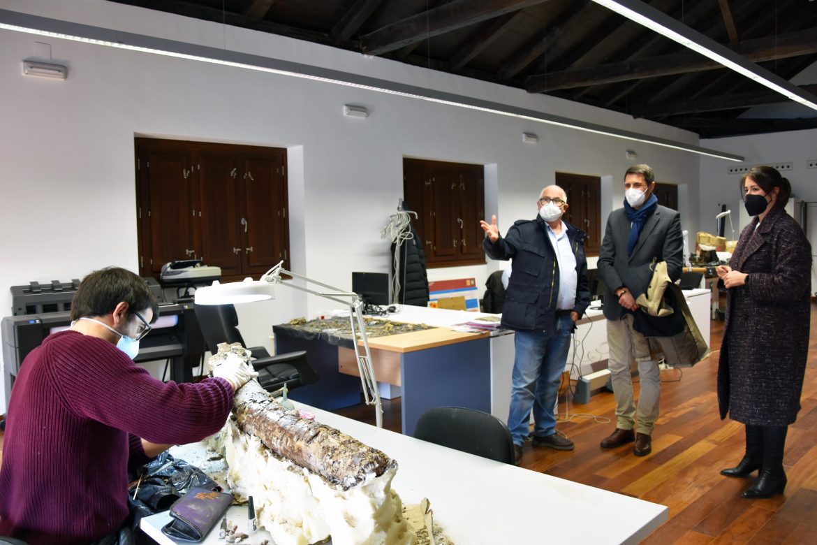 restauraciondefensamammut1 Restauración de restos paleontológicos