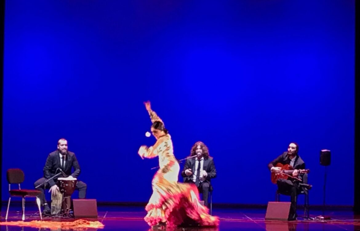 Festival Flamenco Peña Arremate (6)