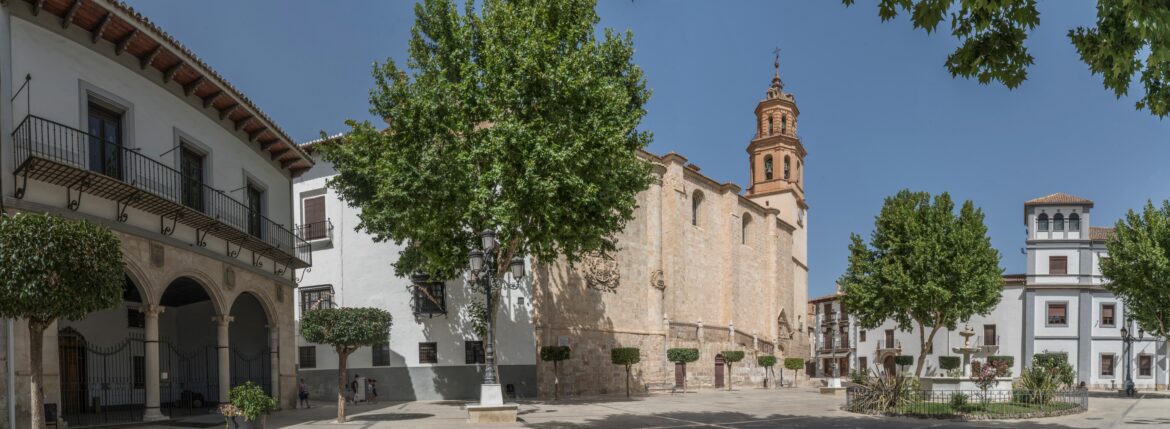 Panorama_sin_título1 (2)