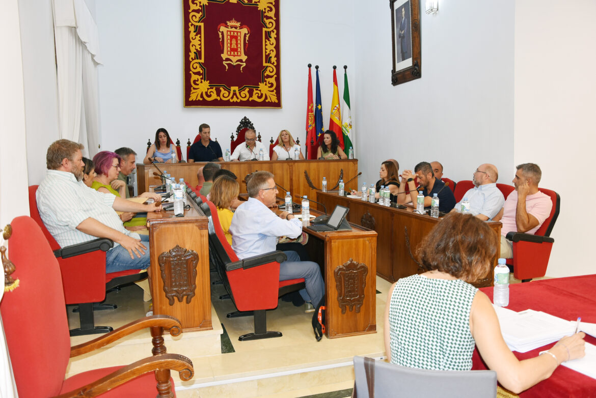 pleno ordinario de julio