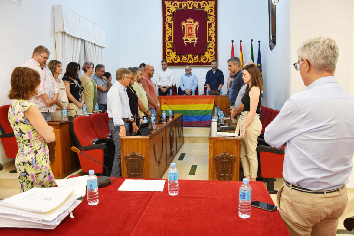 pleno junio 1