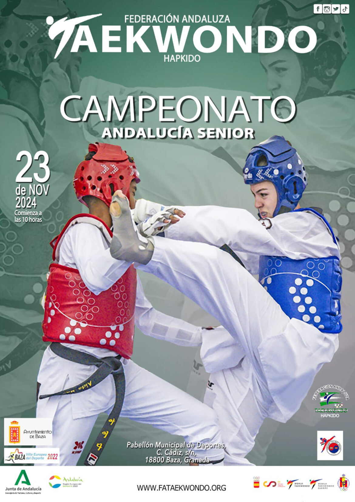 cartel campeonato andalucía taekwondo