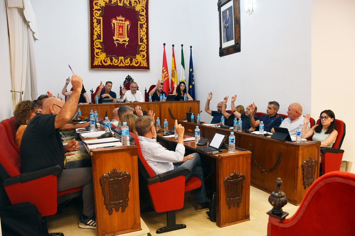 pleno junio 25 1