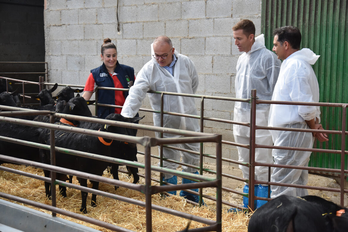 visita explotación ganadera 3